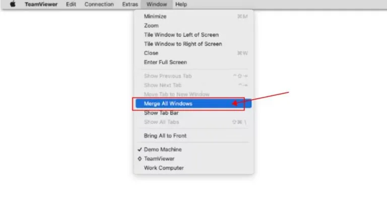 Menüoption zum Zusammenführen aller TeamViewer-Fenster in Registerkarten