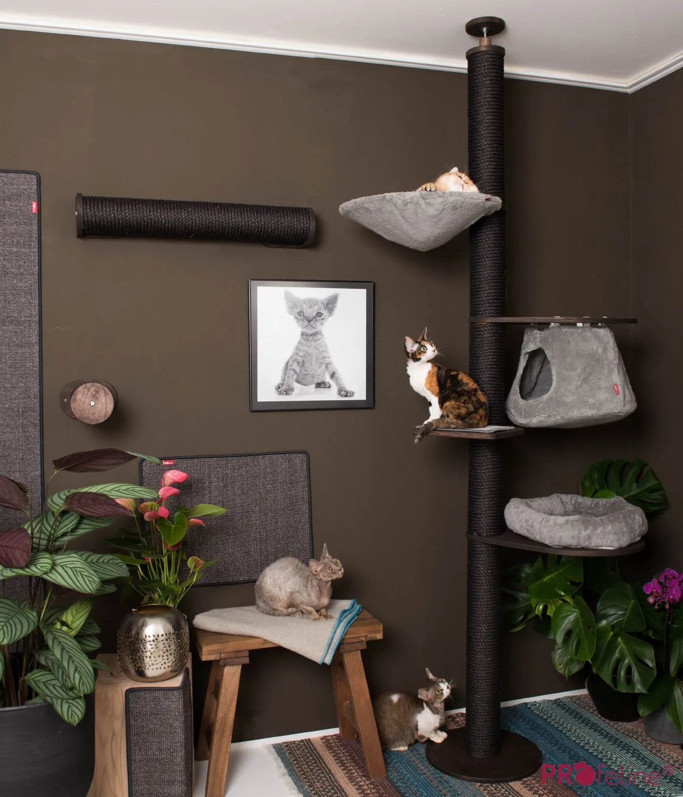 Moderner Kratzbaum als Deckenspanner in Schwarz-Grau für aktive Katzen