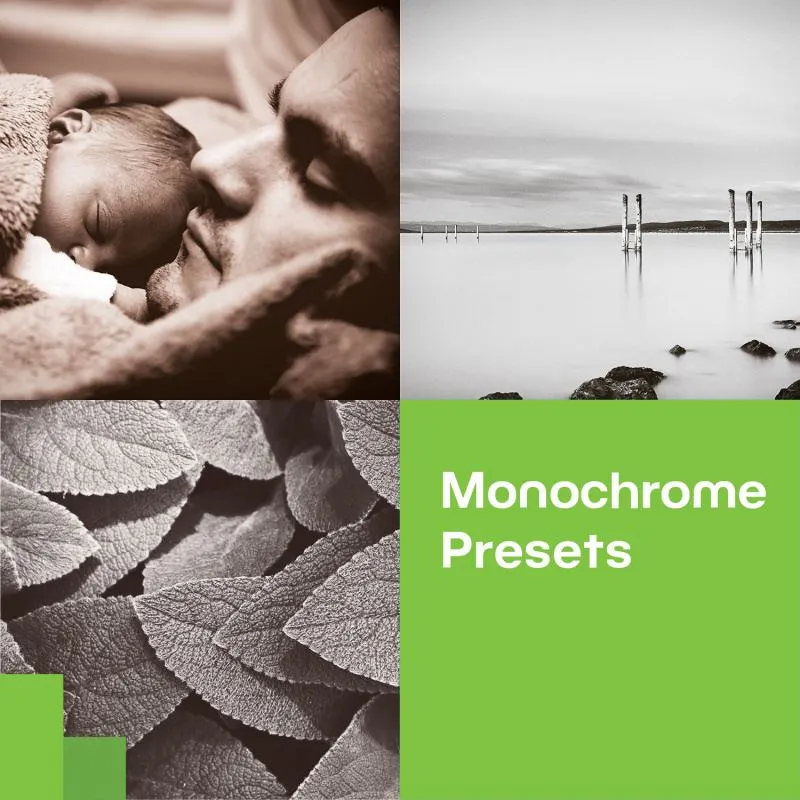 Monochrome Eleganz mit Zoner Photo Studio Presets kostenlos entdecken