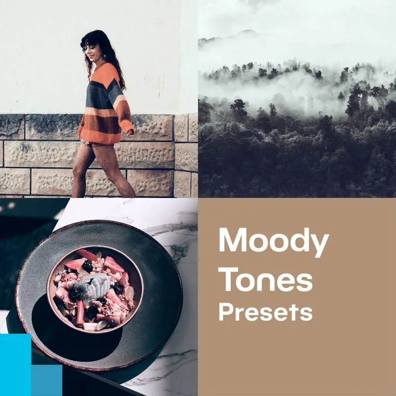 Mysteriöse Stimmung mit Moody Tones Presets in Zoner Photo Studio gratis