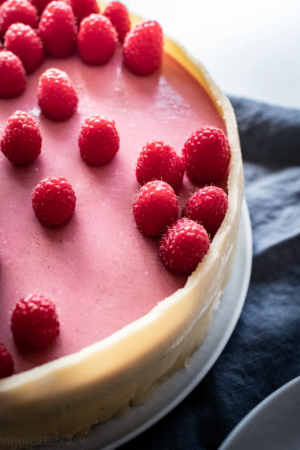 Nahaufnahme eines köstlichen Lagkage Schichtkuchens, der die detailreichen Füllungen und den Marzipanrand zeigt