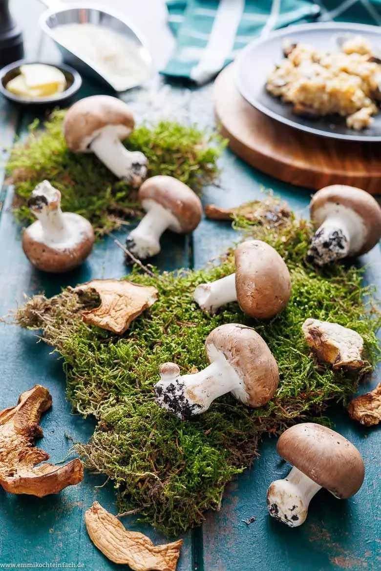 Nahaufnahme von Pilzrisotto mit sichtbaren Champignons