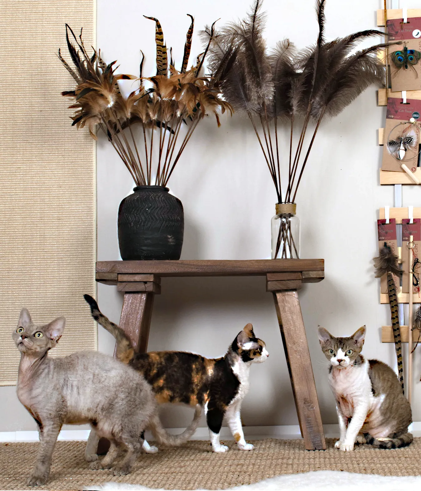 Natürliches Katzenspielzeug wie Federwedel für interaktive Spielstunden