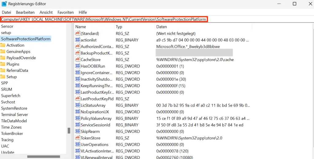 Navigieren zum Pfad &quot;SoftwareProtectionPlatform&quot; im Registrierungseditor, um den Produktschlüssel zu finden