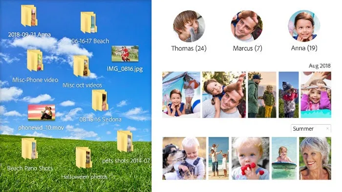 Oberfläche von Premiere Elements 2020, die automatische Smart Tags für Videos basierend auf Inhalten wie Hunden anzeigt.