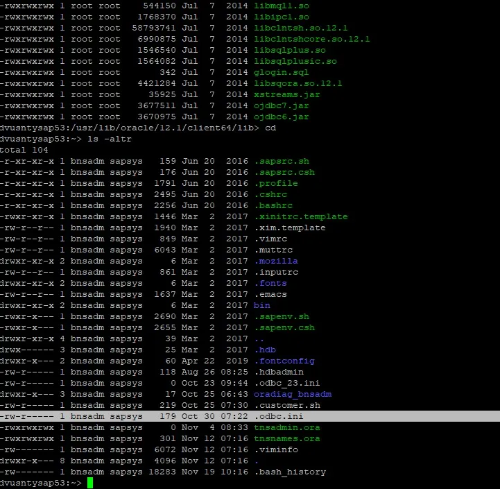 ODBC DSN Eintrag (.odbc.ini) für Oracle-Datenbankverbindung