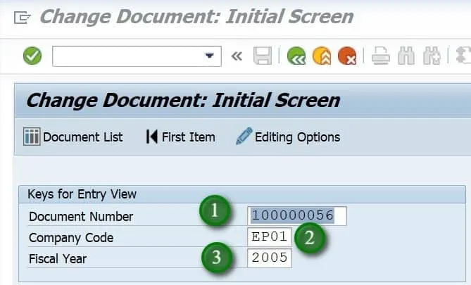 Option &quot;Belegliste&quot; in SAP FB02, um nach Belegen zu suchen