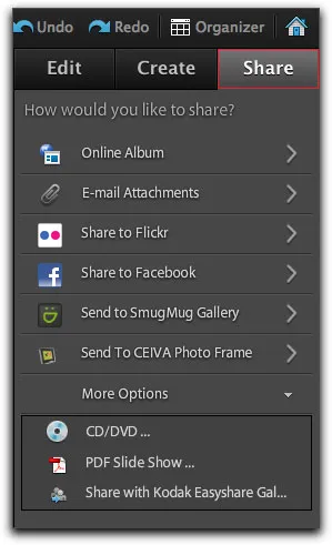 Optionen des &quot;Teilen&quot;-Tabs in Photoshop Elements 9 für soziale Medien und Online-Alben