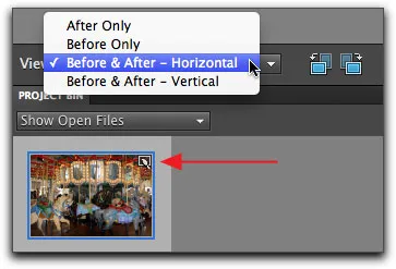 Pinsel-Symbol auf Thumbnail zeigt angewandte Effekte an