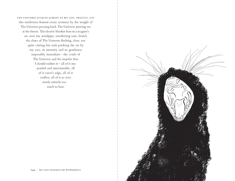 Porträt von A. Kendra Greene, die über die Bedeutung von &quot;Aufmerksamkeit&quot; im künstlerischen Schaffen und als Illustratorin spricht.