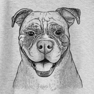 Rufus der American Bulldog