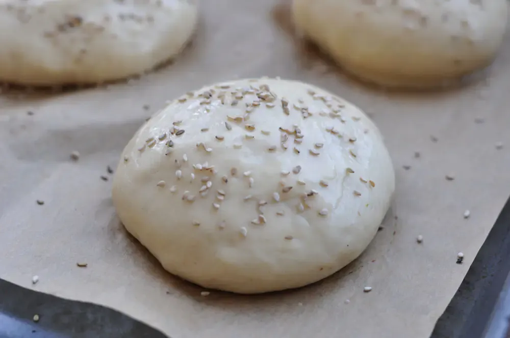 Runde Teiglinge für Hamburger Brötchen, mit Eistreiche bestrichen und mit Sesam bestreut, bereit zum Backen