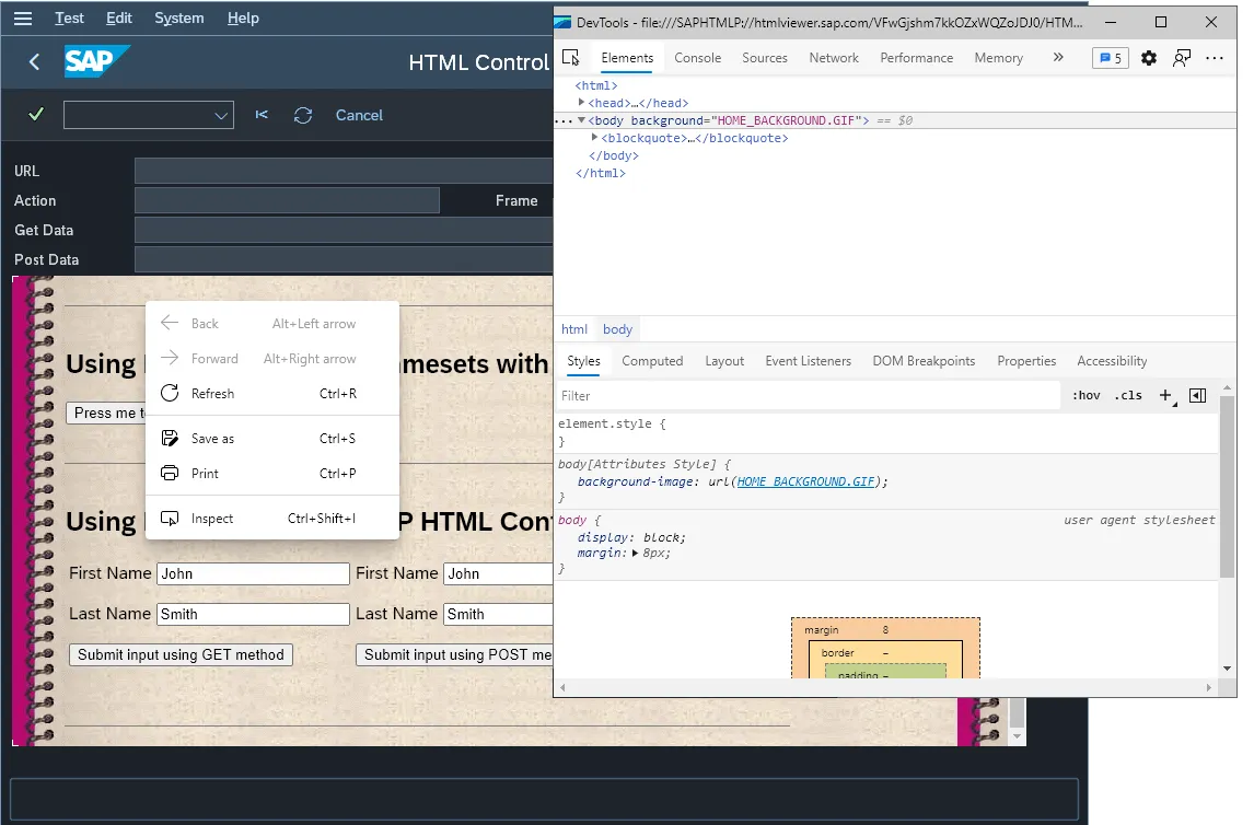 SAP GUI HTML Control nutzt WebView2 für eine moderne Browsererfahrung in SAP GUI 7.70