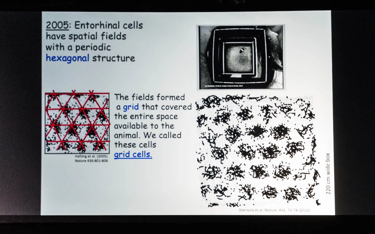 Schematische Darstellung der neuronalen Navigation in deutschen Städten