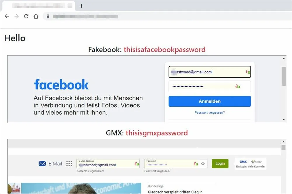 Screenshot der Stiftung Warentest zeigt erbeutete Passwörter durch Phishing-Angriff auf Avira Password Manager