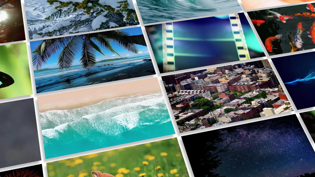 Screenshot von Adobe Premiere Elements, der die Integration von kostenlosen Adobe Stock Medien wie Fotos, Videos und Audio in ein Videoprojekt zeigt.