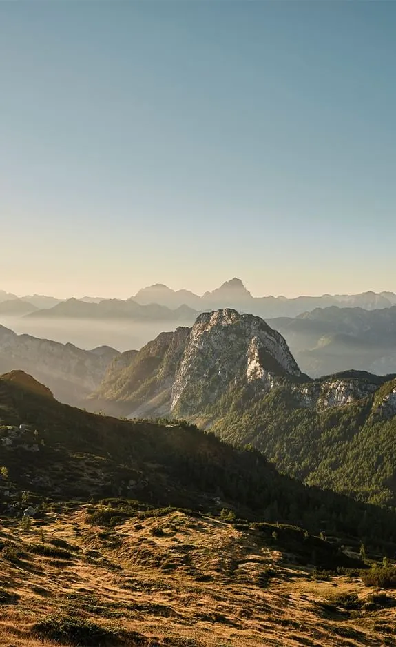 Sonnenaufgang über einer Berglandschaft mit dichtem Wald und grasbewachsenen Hängen.