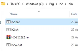 Starten der H2-Datenbankkonsole