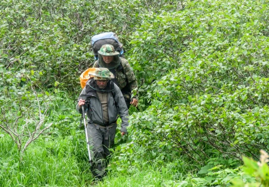 Steile Hänge und dichte Büsche, eine Herausforderung auf der Kamtschatka-Tour