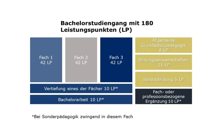 Strukturübersicht des Bachelorstudiengangs Bildung an Grundschulen
