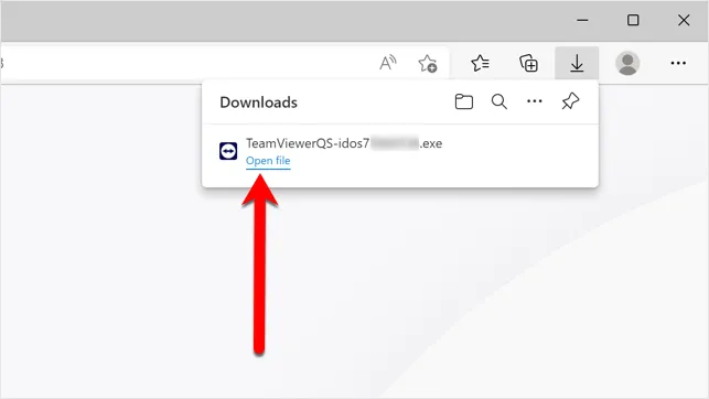 TeamViewer-Datei öffnen