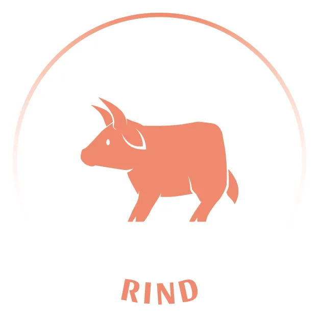 Tiericons_20240403_Rind_(12)