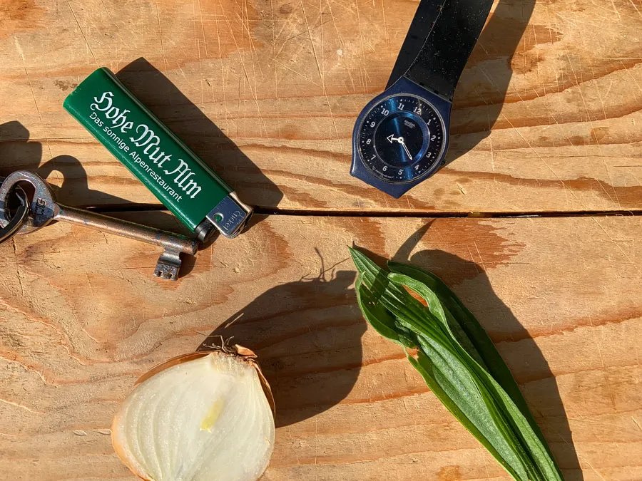 Übersicht der vier wichtigsten Hausmittel bei Insektenstichen: Stachel entfernen, Hitze, Spitzwegerich und Zwiebel