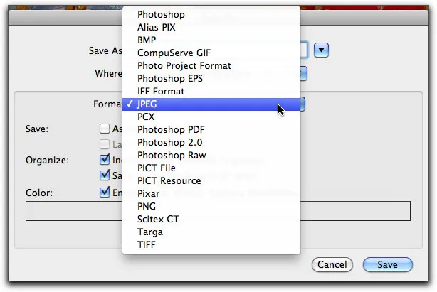 Umfassende Liste der Exportformate im „Speichern unter“-Dialog von Photoshop Elements 9