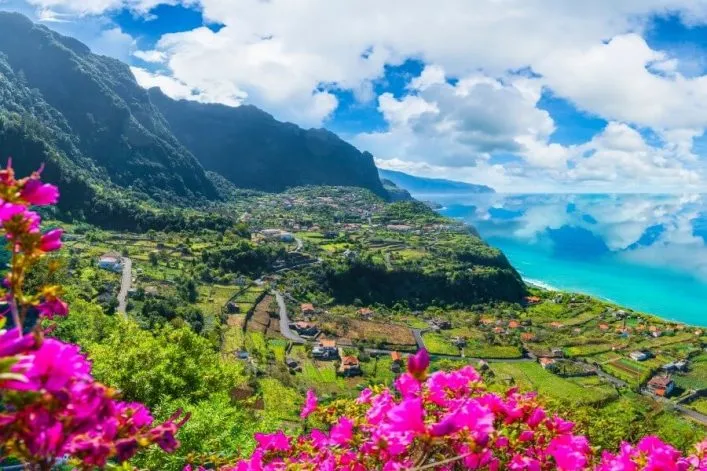 Üppige, grüne Landschaft auf Madeira mit leuchtenden Blumen im Vordergrund und einem strahlend blauen Meer im Hintergrund