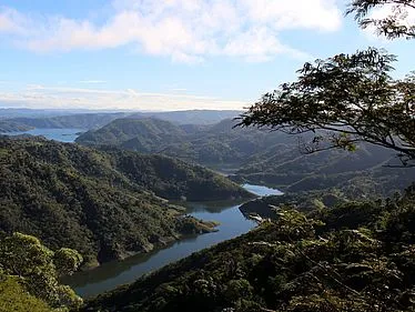 Üppiger grüner Regenwald mit dichtem Blätterdach, symbolisiert die schützenswerte Natur und das globale Ökosystem.