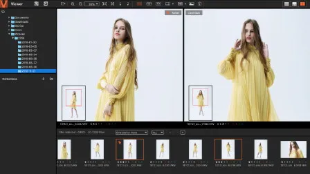 Vergleichsansicht von zwei Bildern im Imaging Edge Desktop Viewer für eine bessere Auswahl