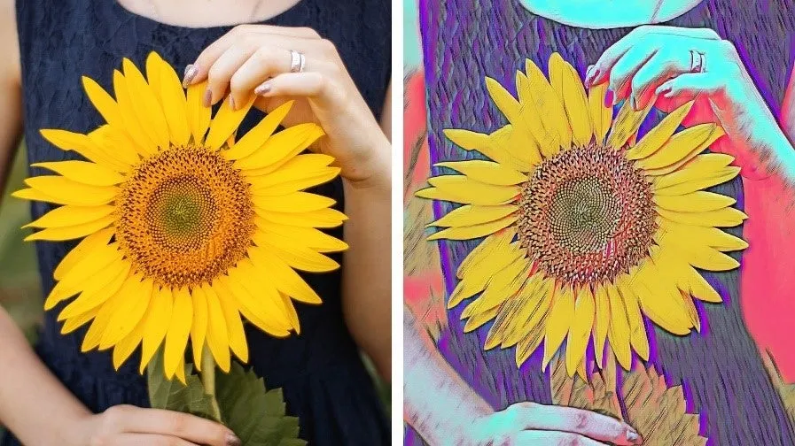Vergleichsbilder einer Sonnenblume, die durch Fotobearbeitung in eine Illustration verwandelt wurde