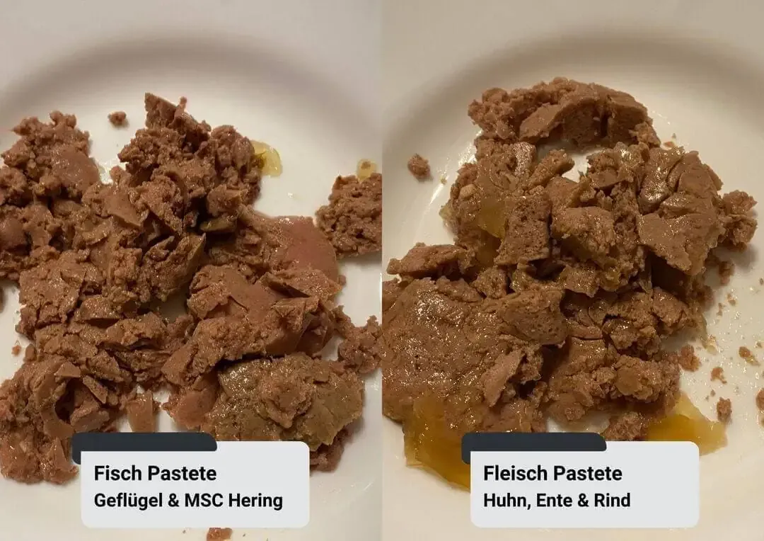Visueller Vergleich der Konsistenz von zwei Sorten Coshida Katzenfutter von Lidl in geöffneten Pouches.