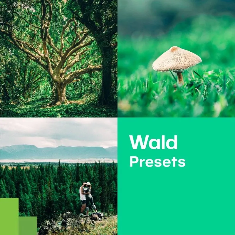 Waldlandschaften authentisch bearbeiten mit Zoner Photo Studio Presets kostenlos