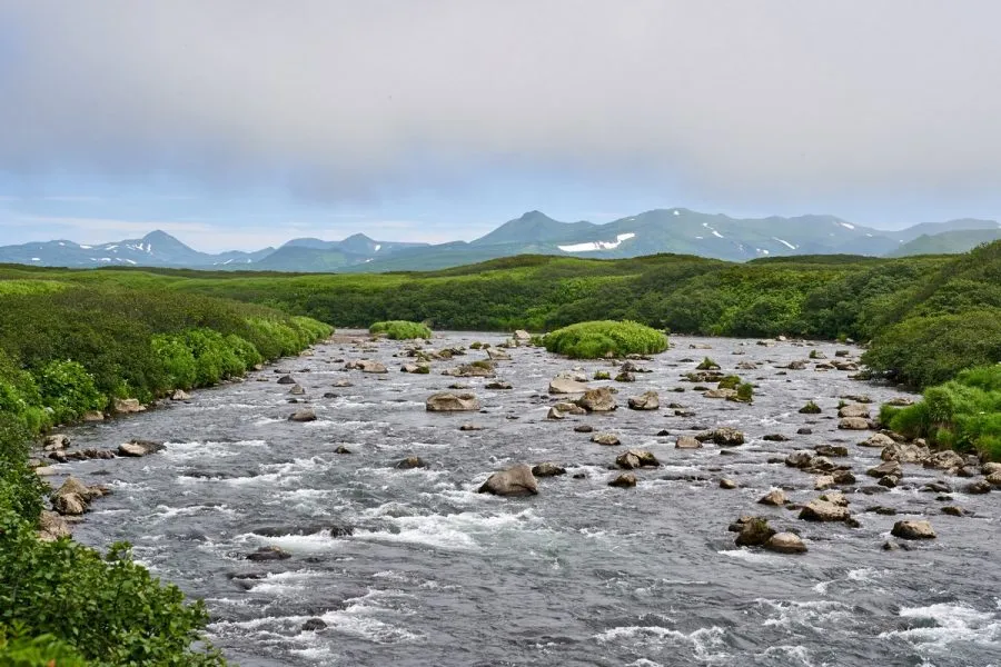 Wanderung durch Küstenwiesen in Kamtschatka am nächsten Tag
