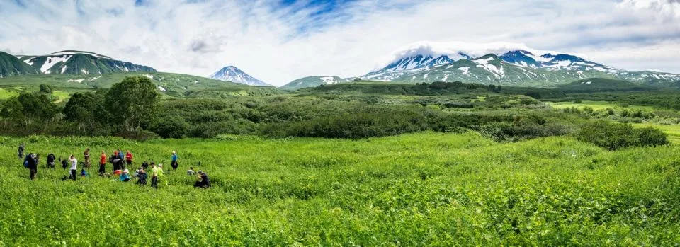 Weite Wildwiesen Kamtschatkas mit blühender Flora
