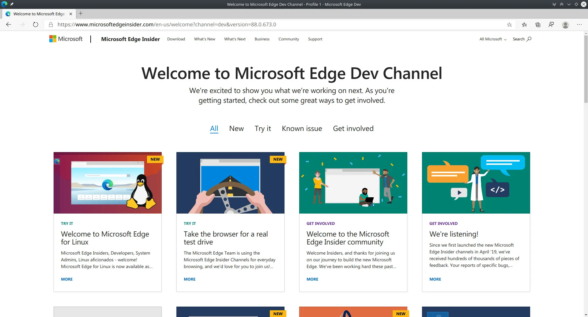 Willkommensseite des Edge Dev Channels