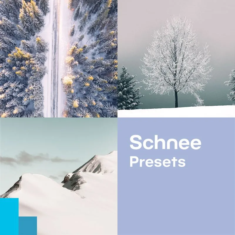 Winterliche Schneelandschaften mit Zoner Photo Studio Presets kostenlos bearbeiten