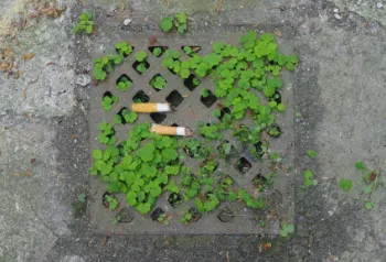 Zigarettenkippen und anderer Müll liegen auf dem Boden