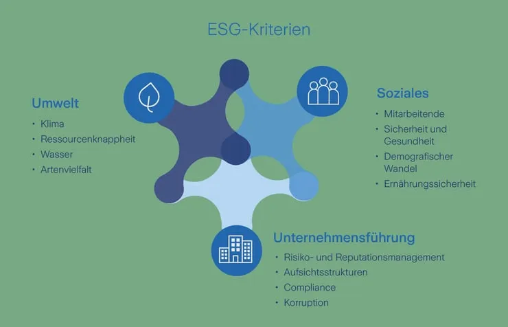Grafische Darstellung der ESG-Kriterien: Umwelt, Soziales und Unternehmensführung