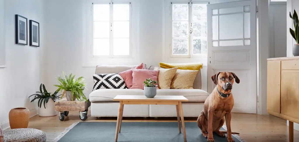 Illustration einer Baufinanzierung