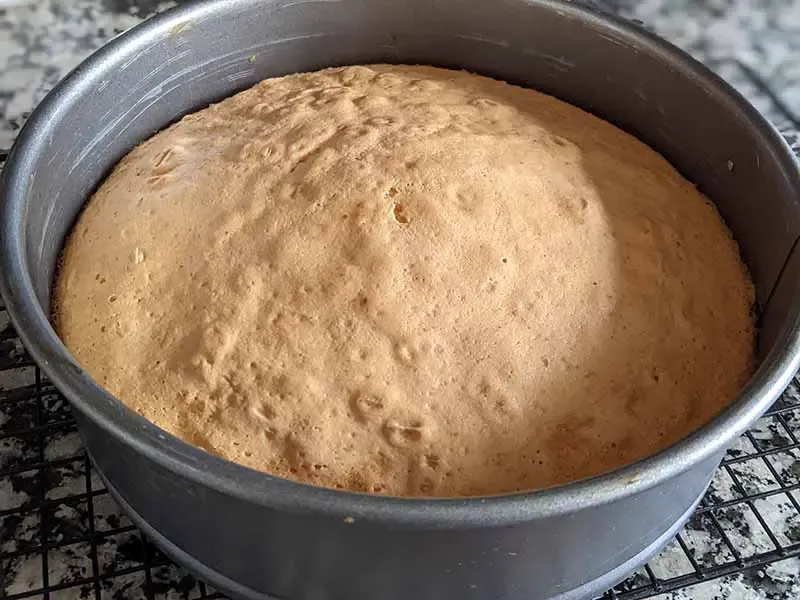 Käse Sahne Torte Backen