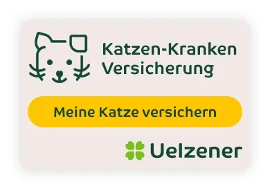 Banner Katzen-Kranken-Versicherung