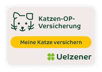 Banner Katzen-OP-Versicherung