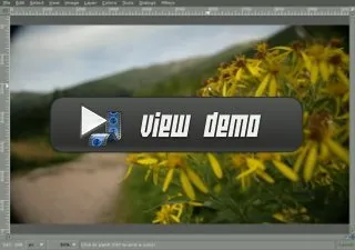 Demo der Objektivverzerrung