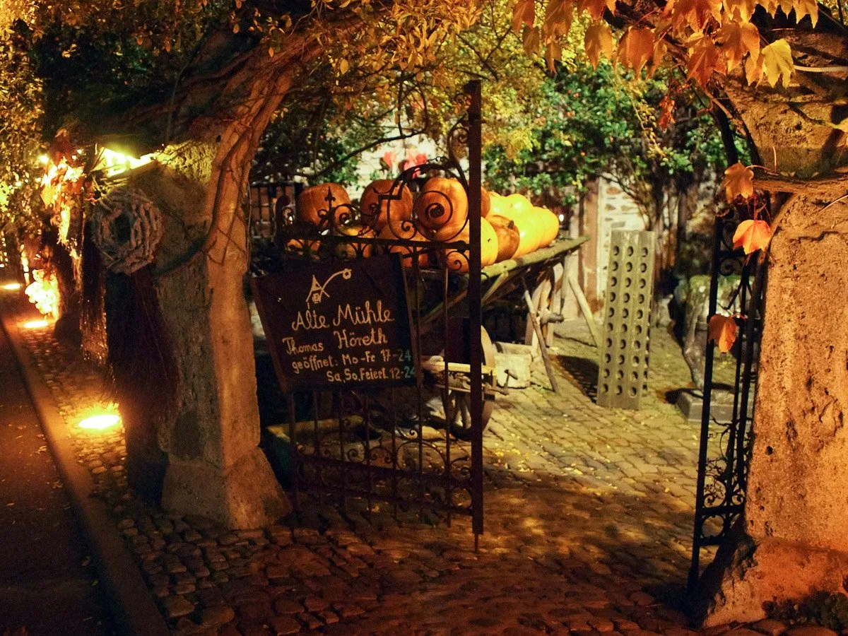 Detailaufnahme von reifen Trauben in einem Weinberg