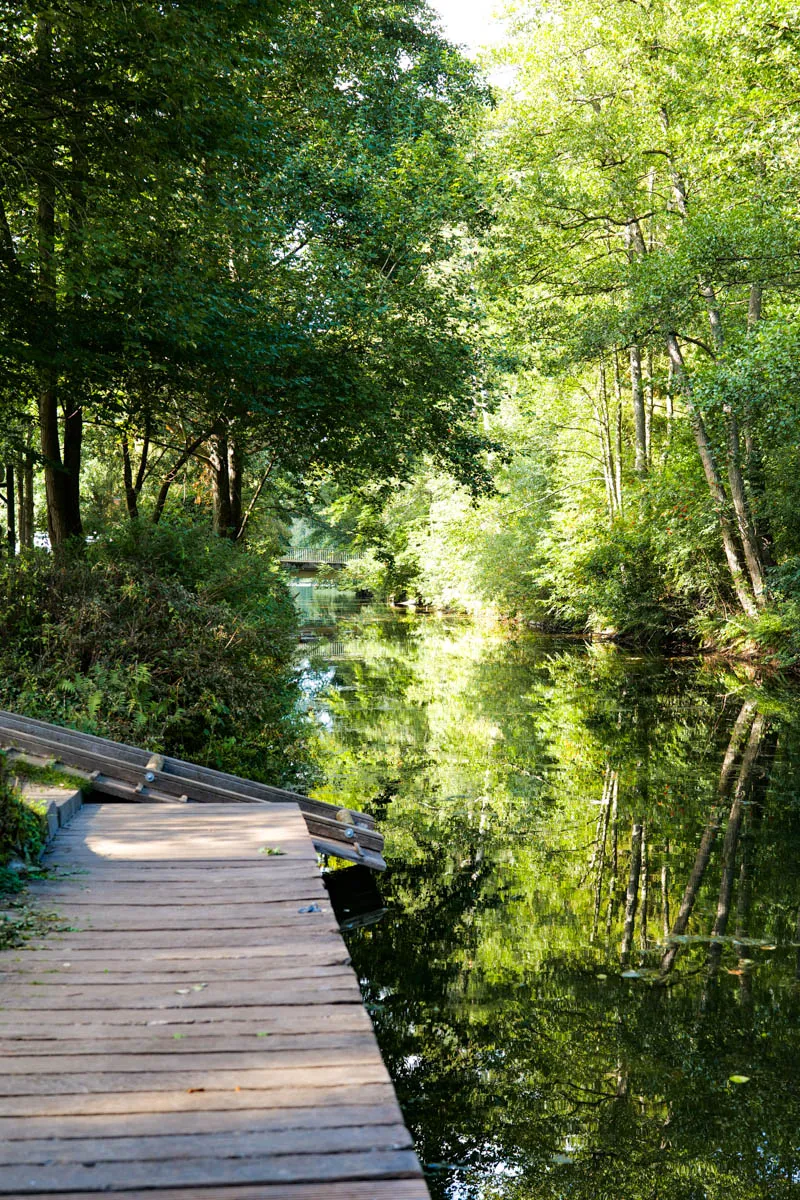Ein Planwagen als ungewöhnliche Unterkunft im Wald