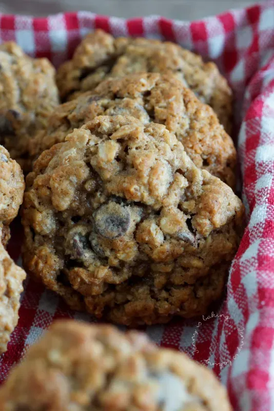 Eine Auswahl unaufgeregter Schoko-Haferkekse