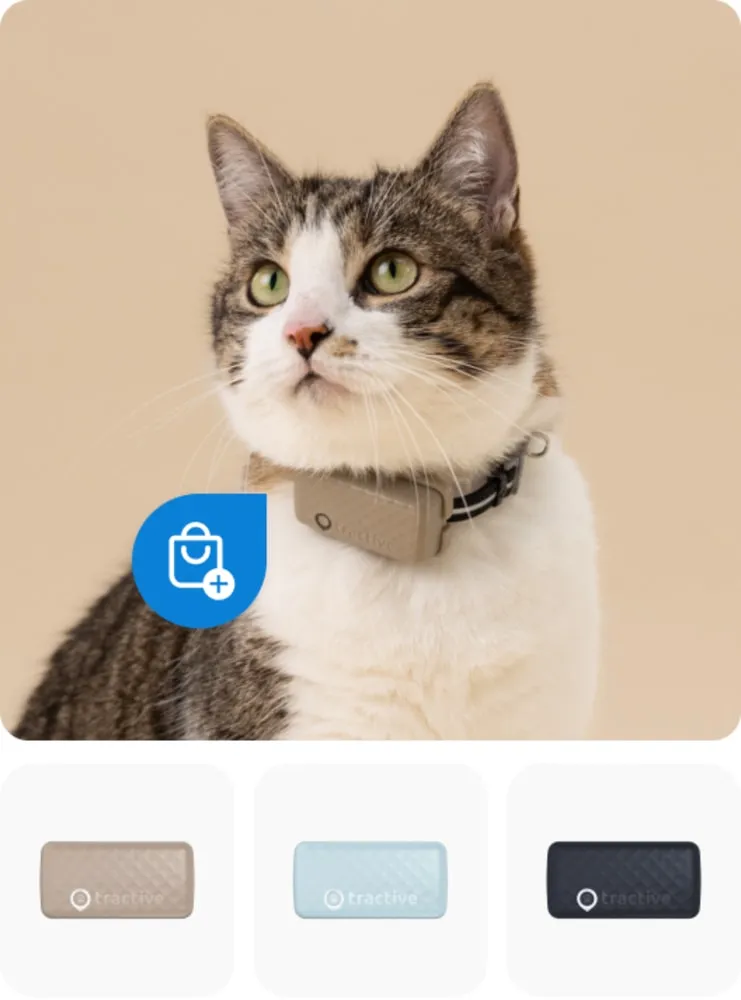 Eine Katze mit einem GPS-Tracker am Halsband sitzt auf einem Ast und blickt nach oben, daneben werden Smartphone-Screens mit Live-Tracking und Gesundheitsüberwachung gezeigt.