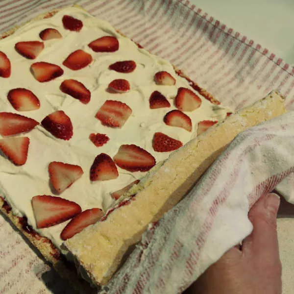 Erdbeeren auf der Sahneschicht verteilen und die Biskuitrolle vorsichtig aufrollen